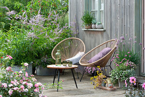 Candelabra speedwell in zinc tubs, rose, magic bells, mountain leek, carnation, snowflake flower and globe amaranth 'Truffula Pink', cut garlic and echeveria at the window, Acapulco chair and small table