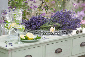 Lavendelblüten, Rosenblüte und Lavendelflasche auf Tablett, Krug und Gläser mit Wasser, Minze und Zitrone als Erfrischungsgetränk