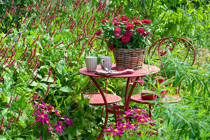 Small seating area by the bed with candle knotweed 'Blackfield' and ornamental baskets, basket with zinnias on the table