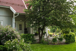 Wooden house and patio under hawthorn tree