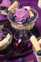 Blueberry ice cream dessert