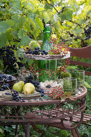 Etagere aus Flasche und Holzscheiben selbermachen: blaue Weintrauben, Käse, Birnen, Hagebutten und Maronen in Fruchthülle