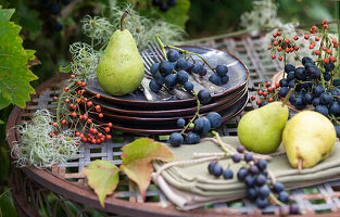 Tischdekoration zum Erntedankfest: blaue Weintrauben, Birnen, Hagebutten, Samenstände der Waldrebe und Geschirr