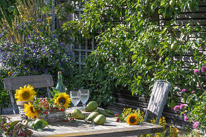 Autumn table decoration with sunflowers, rose hips, pears, ornamental apples and fennel blossoms on terrace with espalier pear and gentian shrub