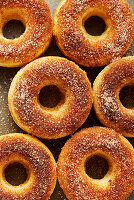 Apfel-Zimt-Donuts (bildfüllend, Close Up)