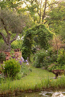 Lush overgrown garden with tendril arch