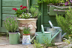 Watering can, partially planted and flower amphora