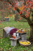 Bench with seat fur and blankets as a seat under the ornamental apple tree, basket with candles, quinces and chestnuts, basket with apple quinces