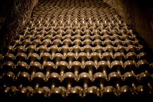 Old champagne bottles in a wine cellar, Champagne, France
