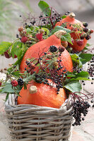 Hokkaido pumpkins with elderberries, raspberries and blackberries in basket case