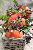 Hokkaido-Kürbisse mit Holunderbeeren, Himbeeren und Brombeeren im Korbkasten