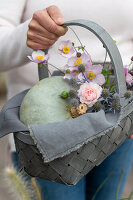 Woman brings a gift basket with pumpkin 'Hungarian Blue', rose blossom, man litter and autumn anemones