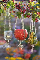 Pumpkin decoration on an ornamental apple tree: glass and pumpkin as a lantern, small ornamental pumpkin