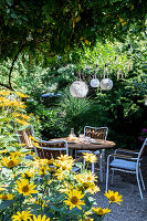 Round table with chairs on gravel area, lanterns above in garden