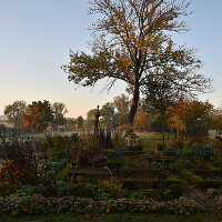 Bauerngarten mit Beetbegrenzungen aus Buchshecken im Herbst