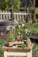 Bouquets of checkerboard flowers, grape hyacinths, cone flowers and snowdrops