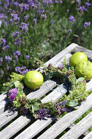 Garland made of herbs on table