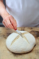 Bread dough - controlled proofing
