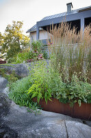 Planted bed with Corten steel edging between rocks