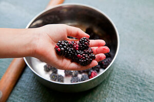 Child's hand holding blackberries