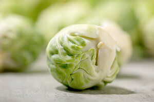 Macro peeled raw organic brussels sprouts
