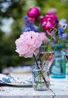 Spring summer feature celebrating the peony flower