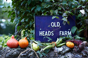 Herbstliche Ernte mit Kürbissen und Gemüse vor Hofschild im Garten