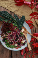 Autumn salad with kale and blackberries