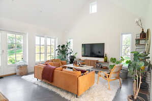 Bright living room with leather couch, carpet and view of the garden