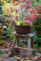 Herbstlich dekoriertes Gartenszenario mit Korb auf Holzhocker