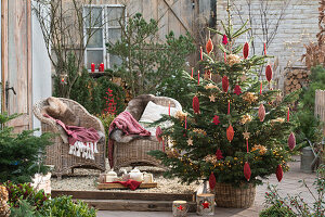 Nordmann fir tree decorated with twine rolls and dried hydrangea blossoms in front of a seating area on the terrace