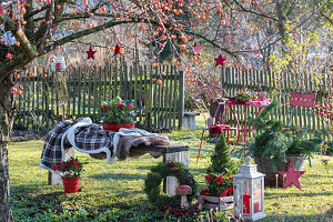 Christmas decorated seat with lantern, white spruce (Picea glauca), decorative mushrooms, wreath, and skimmia (Skimmia) in the garden