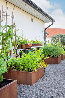 Hochbeete im Garten mit Kiesboden