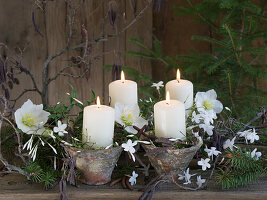 Vier Harztöpfe mit Kerzen, Christrosen und duftendem Winterjasmin (Jasminum polyanthum)