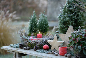 Winter decoration with hoarfrost on a plant table