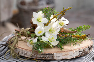 Christmas rose arrangement with fir branches on wooden plate, (Helleborus niger), decoration