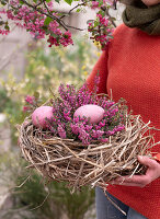 Woman carrying Easter nest of straw with eggs and pink snow heather twigs (Erica carnea)
