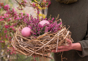 Easter nest made of straw with eggs and pink snow heather twigs (Erica carnea)