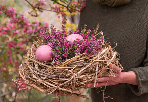 Osternest aus Stroh mit Eiern und rosa Schneeheidenzweige (Erica carnea)