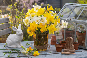 An Easter decoration of Yellow and white daffodils in vase, (Narcissus)