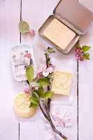 Solid hand and foot cream bars made from bud elixir