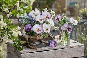 Forget-me-nots (Myosotis), bird cherry and violets in vases