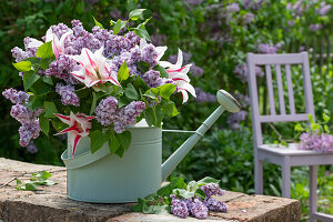 Bouquet of lilac and tulip 'Marilyn' in a watering can