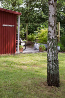 Blick vom Garten auf rot-braunes Holzhaus