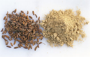 A heap of fennel seeds and ground fennel