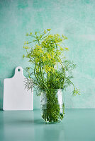 Flowering Dill in a jar