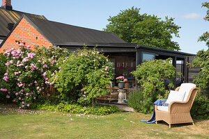 Wicker chair in the sunny garden, with a covered terrace in the background