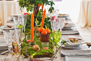 Festively laid table, decorated with moss and candles