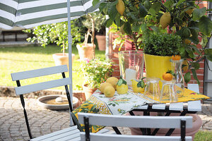 A summery seating area under a parasol and a lemon tree