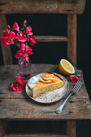 Slice of lemon ricotta cake on a dessert plate on rustic vintage chair